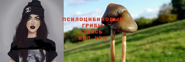 сатива Балабаново